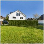 Hauptbild Secret Sale: Viel Platz für alle: Mehrfamilienhaus mit vier Einheiten in Pullach